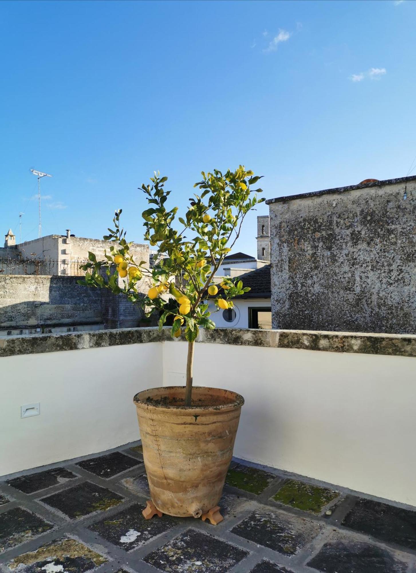 Coniger 4 Casa Vacanze In Centro Lecce Con Wi-Fi E Smart Tv Kültér fotó
